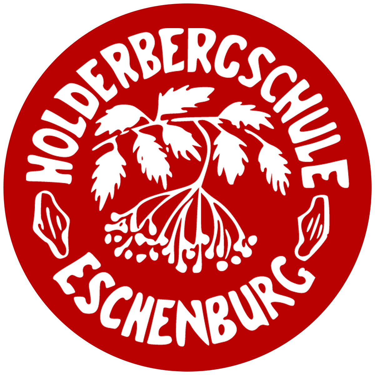 Holderbergschule